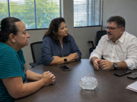 Representantes em reunião institucional sentados à mesa em escritório, discutindo estratégias de enfrentamento à violência contra a mulher em ambiente formal.